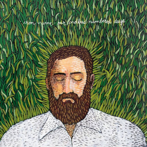IRON & WINE - OUR ENDLESS NUMBERED DAYSIRON AND WINE OUR ENDLESS NUMBERED DAYS.jpg